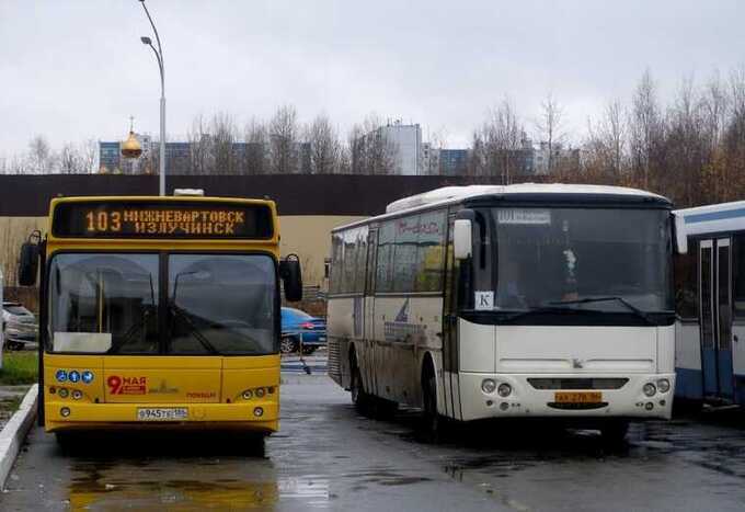 Депдорхоз ХМАО заводит в Нижневартовск «близкую контору» на 8 миллиардов. Эксперты рассказали о коррупции и последствиях для транспорта